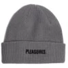 Pleasures Everyday Beanie In Grey Xld