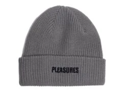 Pleasures Everyday Beanie In Grey Xld