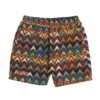 Pleasures Basket Woven Shorts (Multi / Brown) -Pleasures P23SP047 BRN d3ddaf07 7dea 4ae6 a2c6 7d92d26e6f3b
