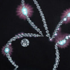 PLEASURES X Playboy Icy Hoodie - Black -Pleasures PLEASURES x Playboy Icy Hoodie Black P21PB009 BLACK 03 03 2022 01 3