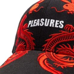 Pleasures X PLAYBOY TAILS 6 PANEL HAT -Pleasures PleasuresXPLAYBOYTAILS6PANELHATBLACKOSP22PB047 BLACK 4