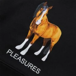 Pleasures DEATH HOODIE -Pleasures pleasuresDEATHHOODIEBLACKSP22F049 3