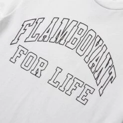 Pleasures FLAMBOYANT T-SHIRT -Pleasures pleasuresFLAMBOYANTT SHIRTWHITESP22F066 3