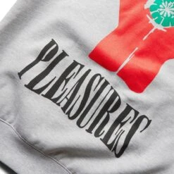 Pleasures HST ZIP HOODIE -Pleasures pleasuresHSTZIPHOODIEHEATHERGREYSP22W051 5