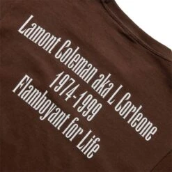 Pleasures IN MEMORY T-SHIRT -Pleasures pleasuresINMEMORYT SHIRTBROWNSP22F068 5